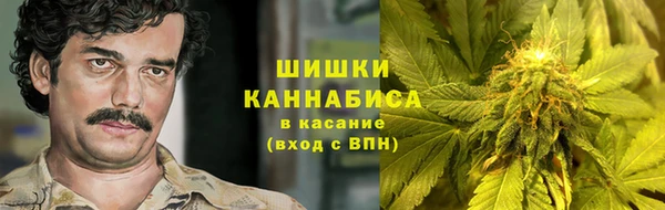 PSILOCYBIN Вязьма