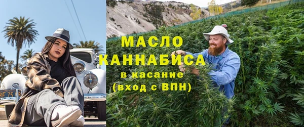 тгк Абаза