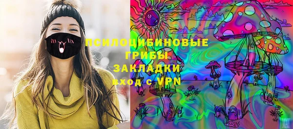 тгк Абаза