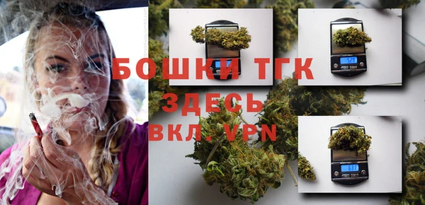 тгк Абаза